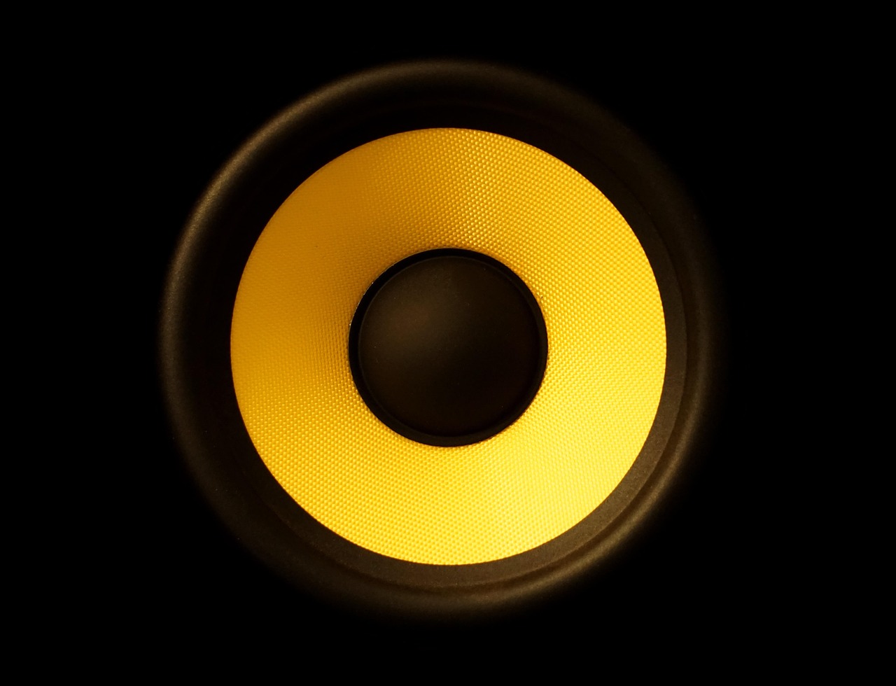 How to Know If the Speaker Is Permanently Damaged